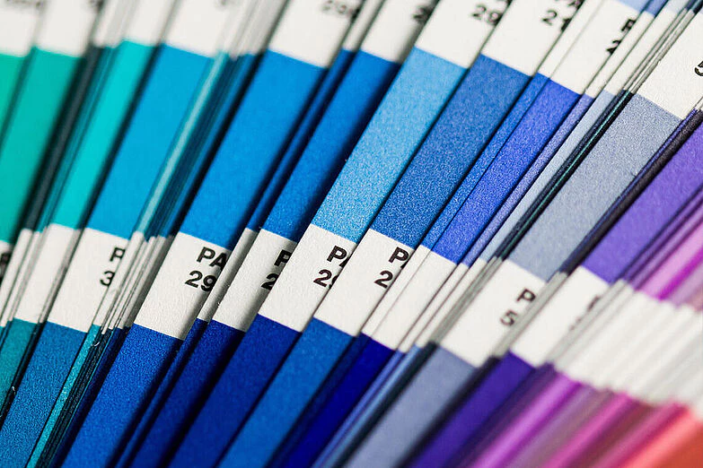 Color Palette